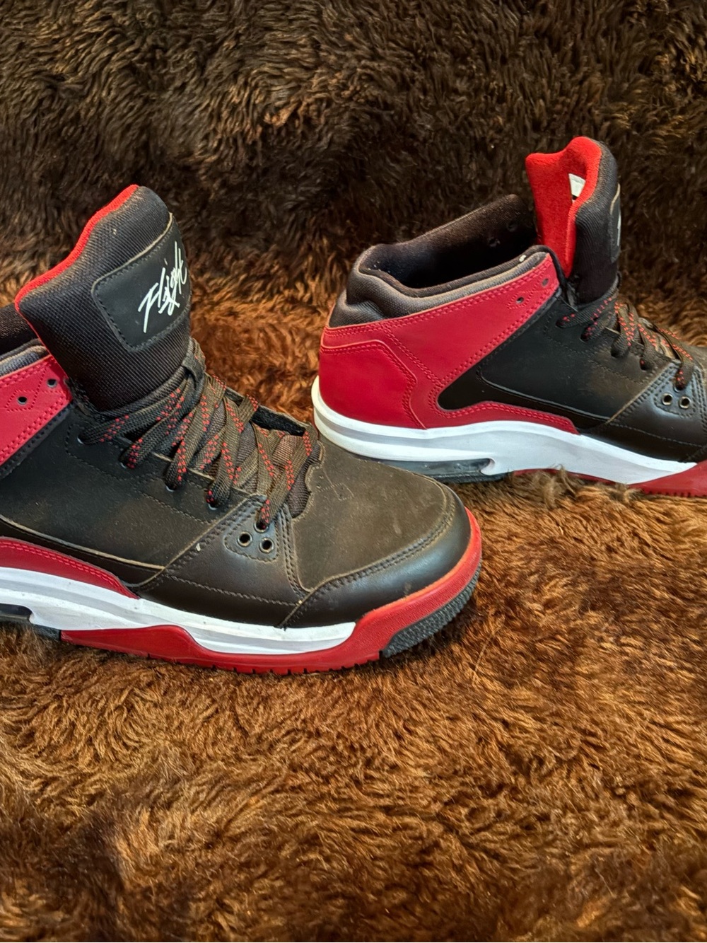 Jordan Flights - Picture 5 of 5